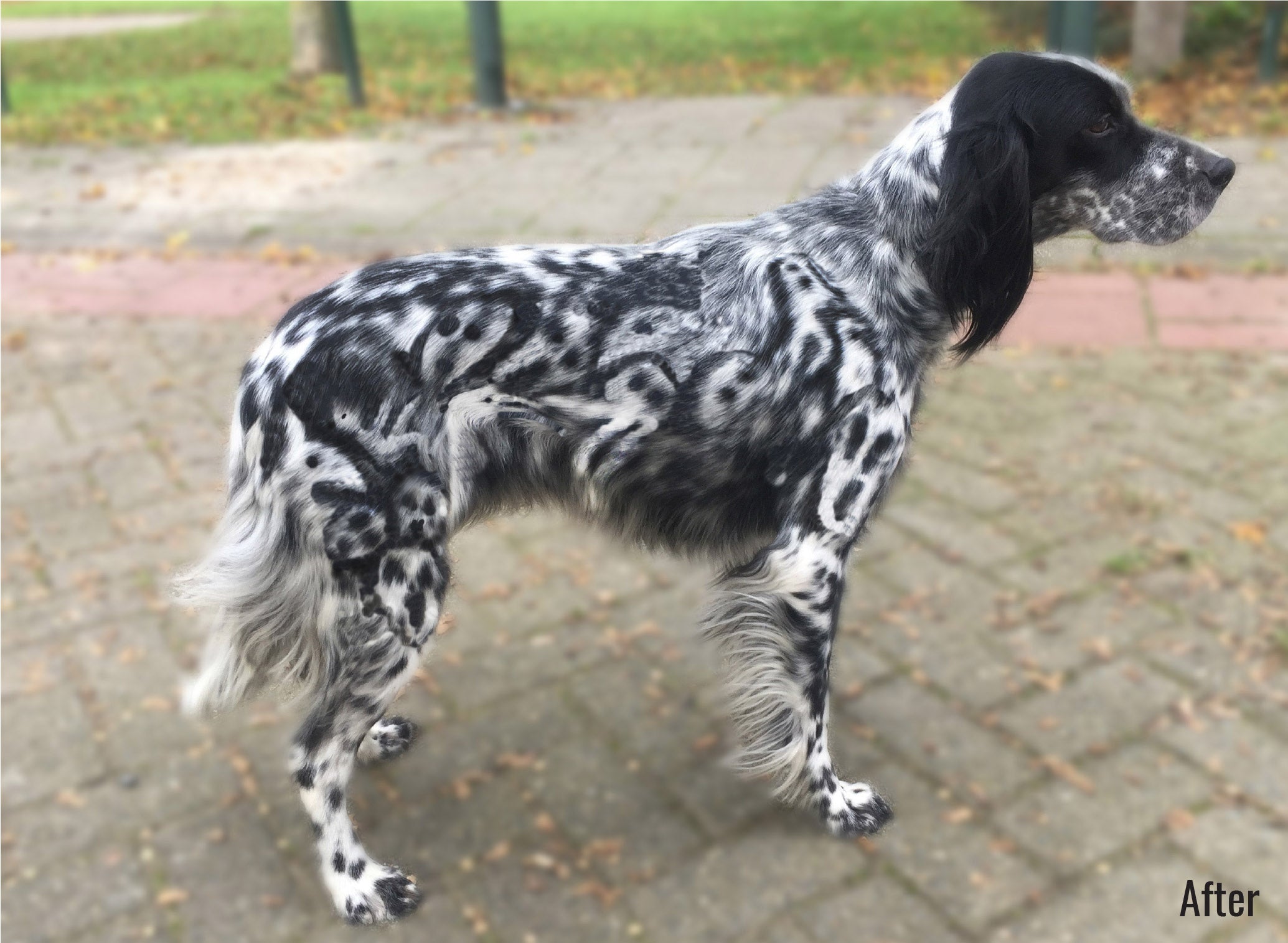 pluma temporal de pintura para teñir el cabello de mascotas