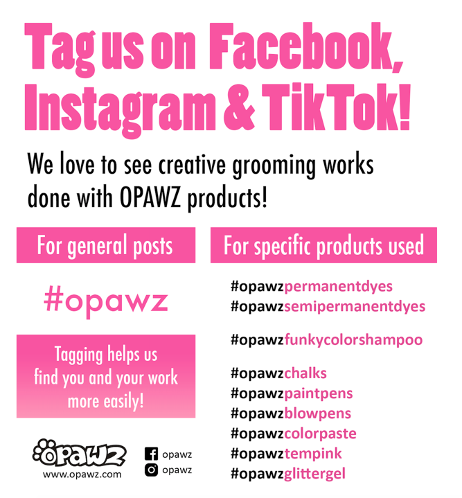 Certification de toilettage créatif Opawz