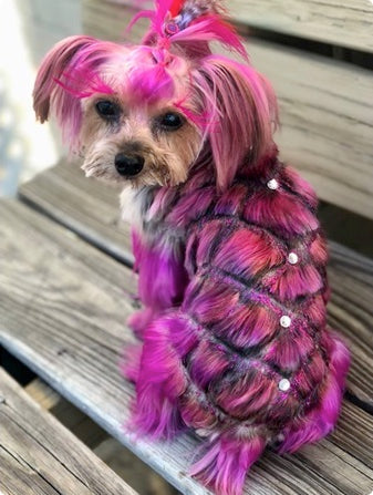 safe dog dye creative pet grooming