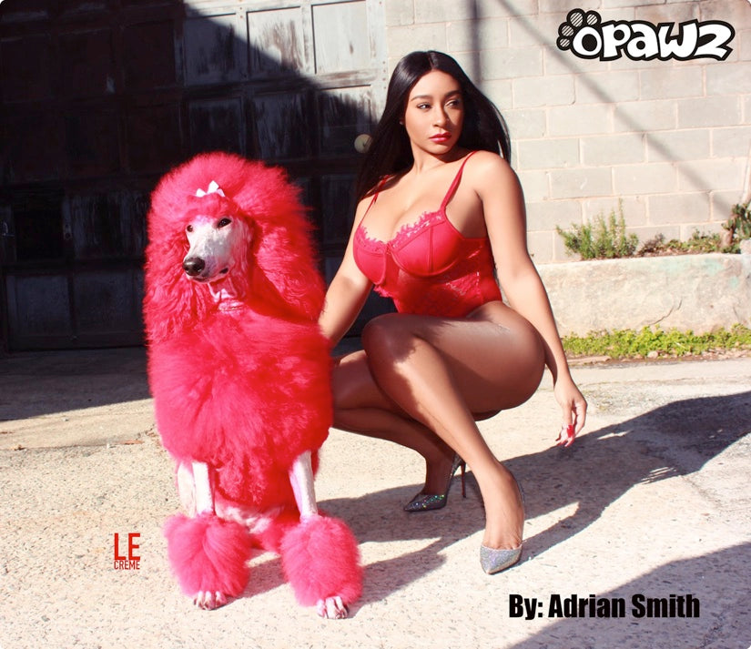 safe pet dye grooming