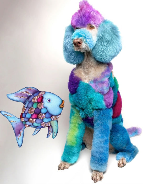 creative grooming contest