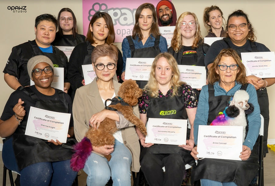 Travail d'étudiant du séminaire de toilettage créatif OPAWZ