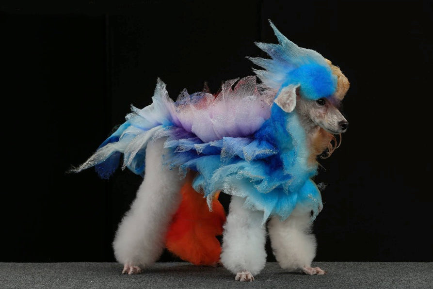 Peluquería canina creativa profesional realizada por Betty Huang
