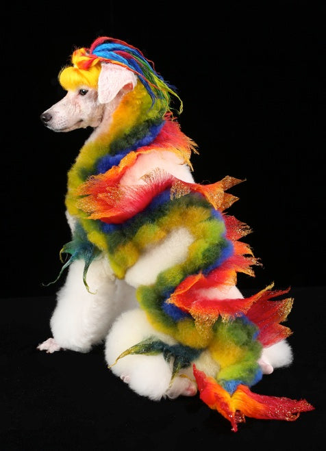 toilettage professionnel et créatif pour chiens réalisé Betty Huang