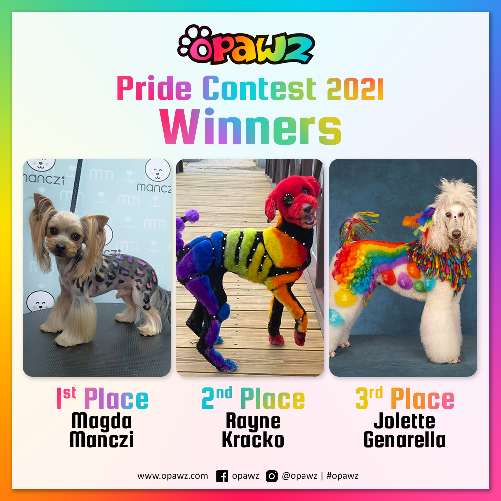 OPAWZ Creative grooming contest