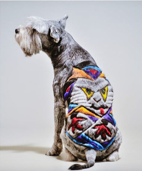 safe dog dye dog hair color