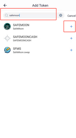 How to add BSC Token