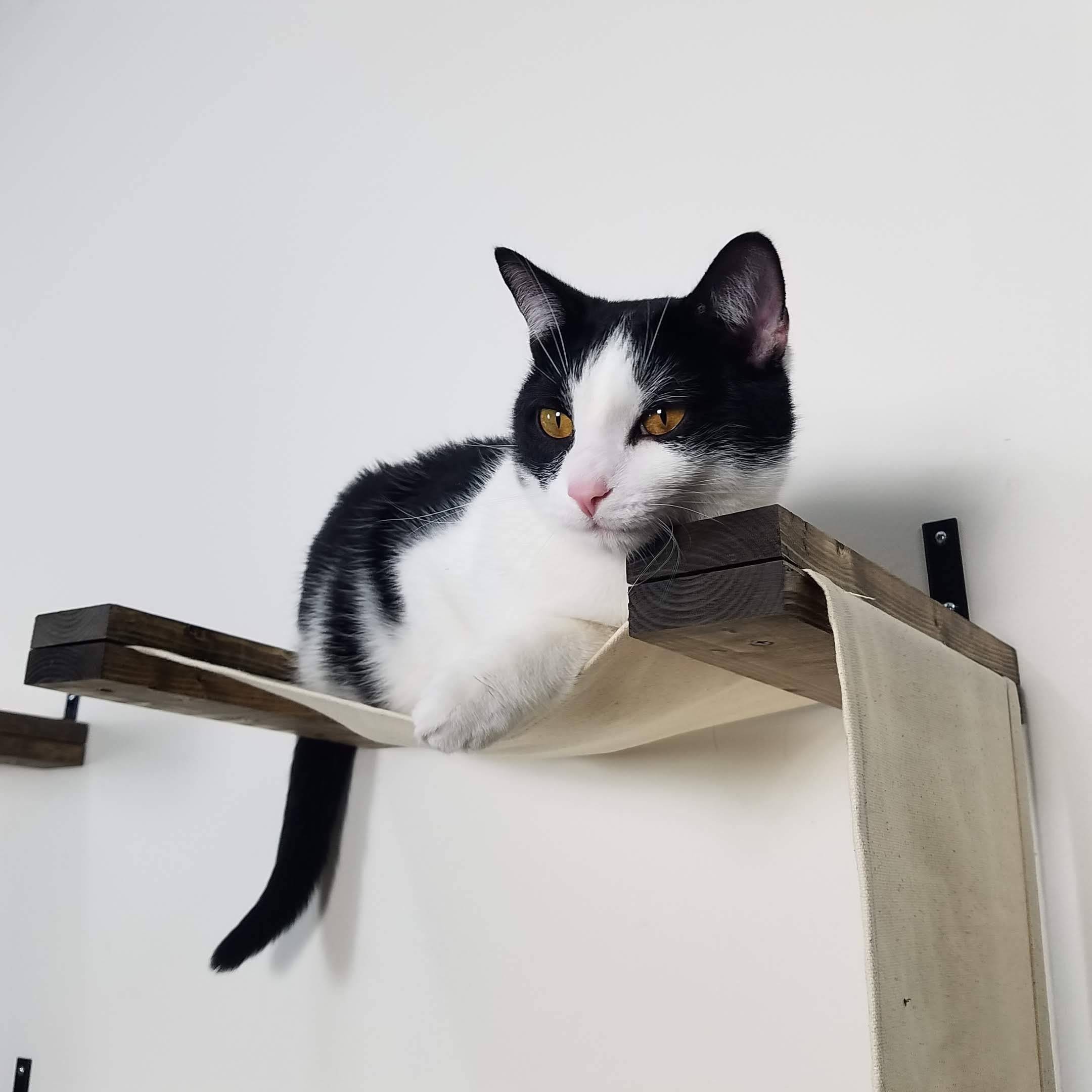 Double Decker Hammock | Cat Wall Furniture