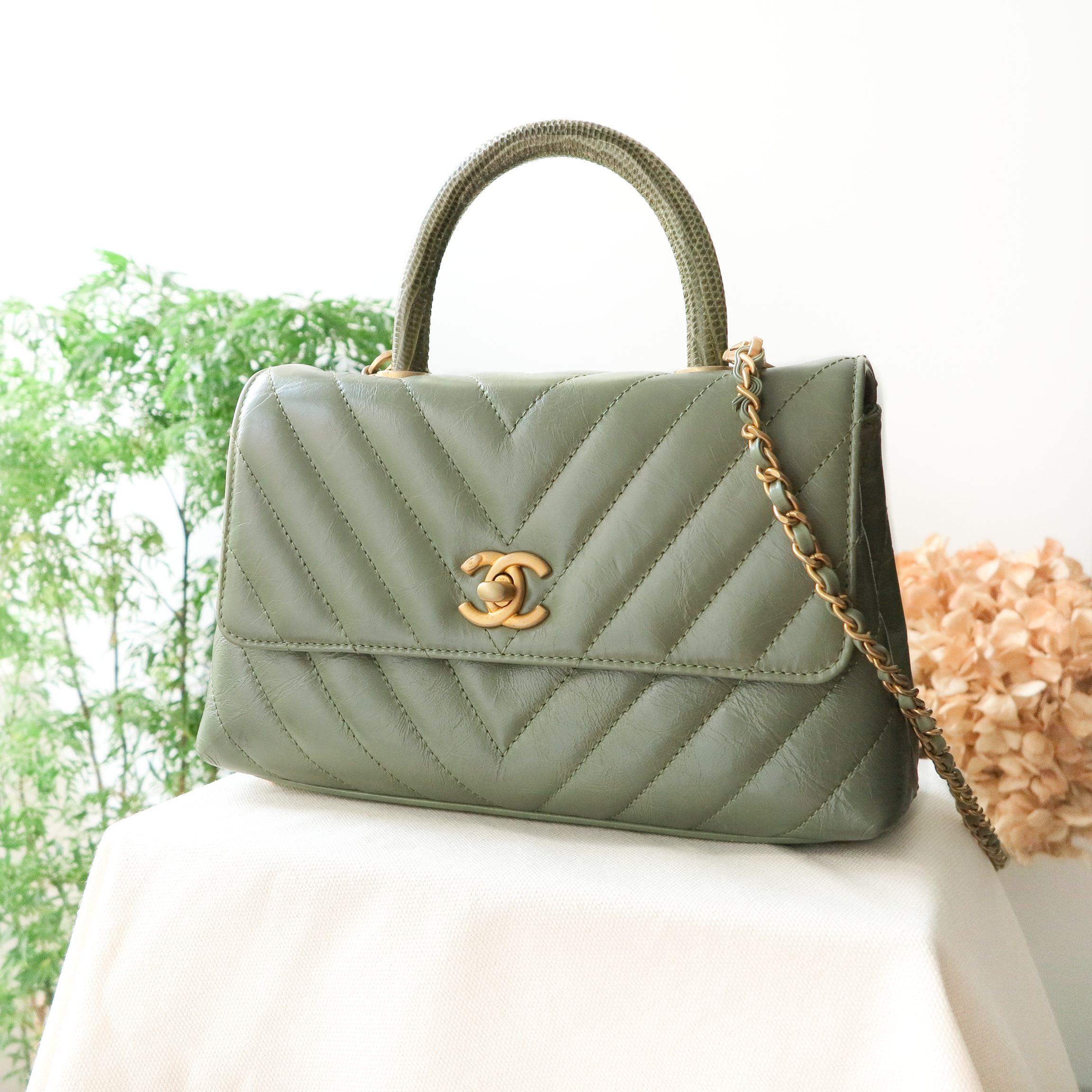 Mini Coco Handle Bag with Lizard Handle in Khaki Green