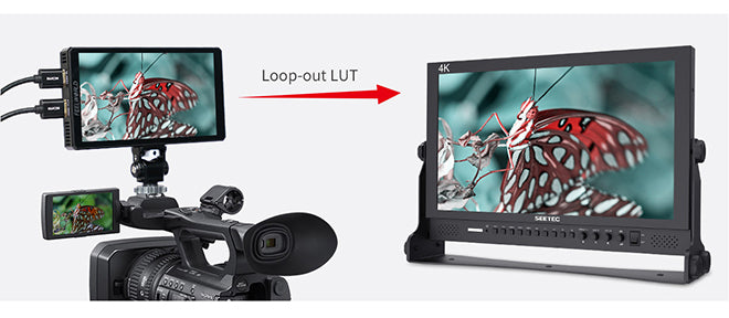 filming monitor