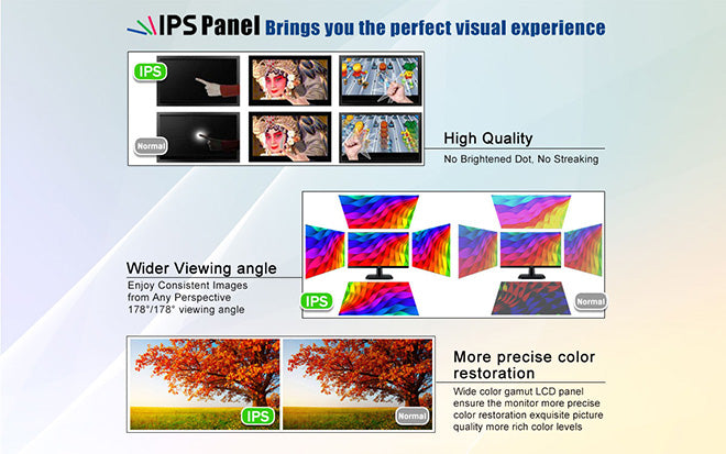 полевой монитор
