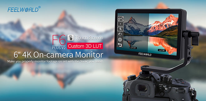 camera monitor