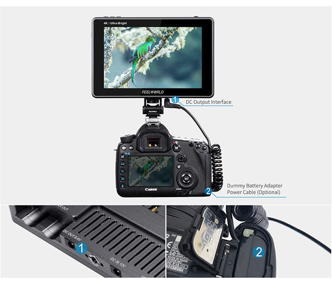 dslr camera monitor