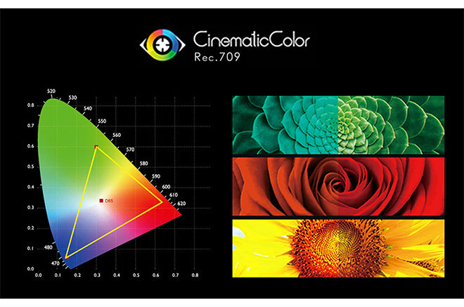 broadcast monitor 4k