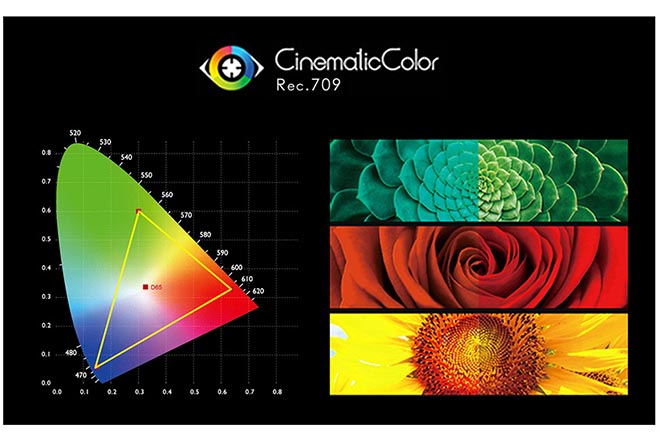 Color Calibration