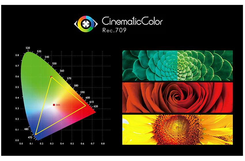 True Color. Calibração profissional de cores, uso Rec.709 padrão de cores