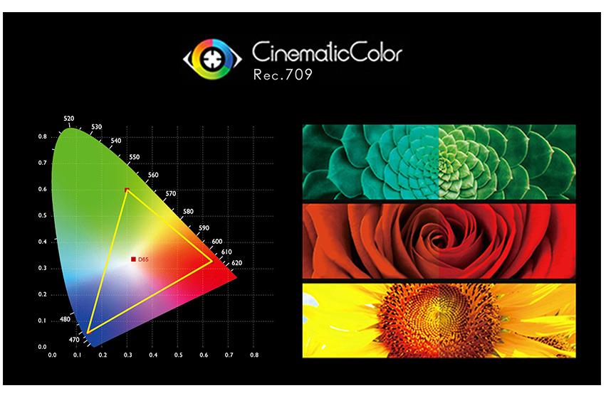 Color verdadero. Calibración de color profesional Utilice el estándar de color Rec.709