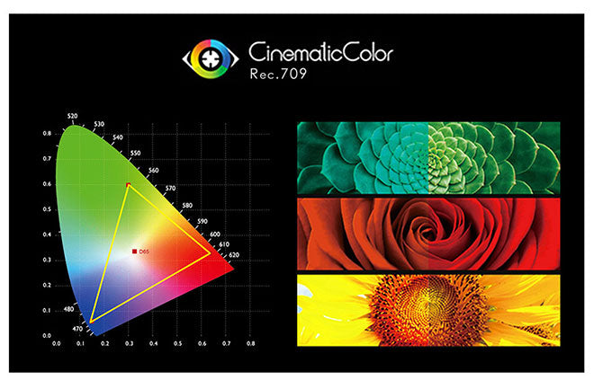 true color monitor