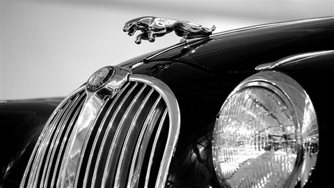 Jaguar, No New Release Before 2025