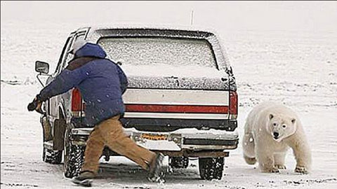 car doors are not allowed to be locked in the Arctic