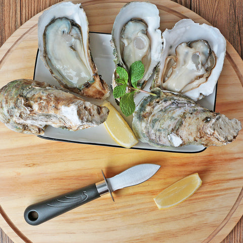 Asdirne Oyster Shucking Knife