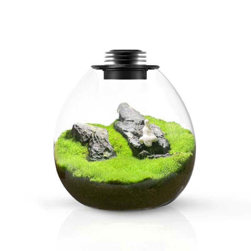 Bubble BIOLOARK Terrarium (PD-170 / PD-210) With LED