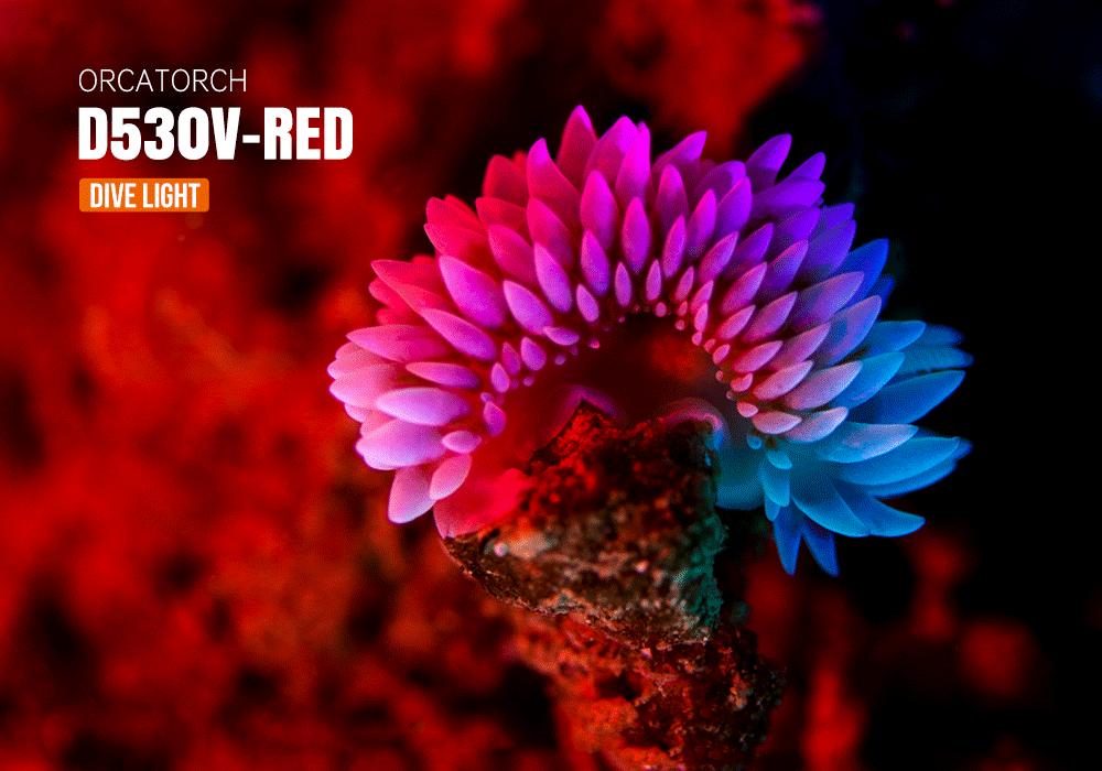 OrcaTorch D530V Red Diving Light 160 Lumens for Underwater Photography