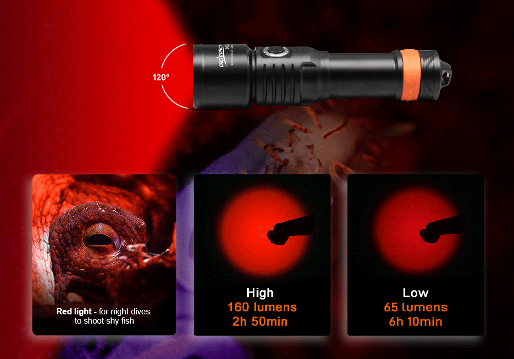 OrcaTorch D530V Red Diving Light for night dives to shoot shy fish