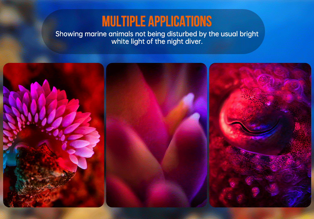 OrcaTorch D530V Red Diving Light multiple applications