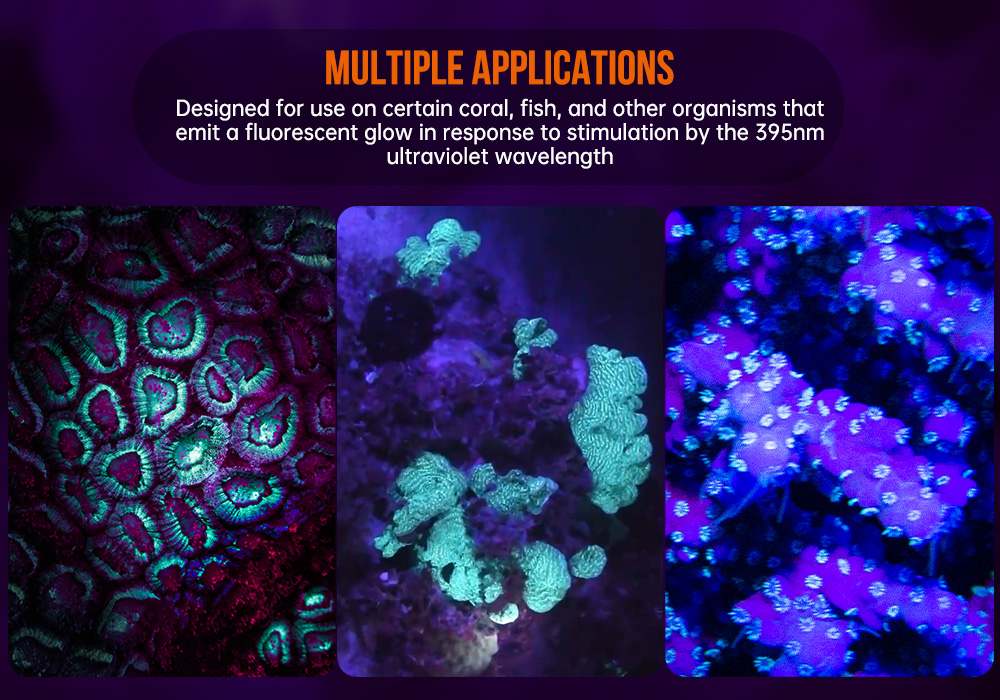 OrcaTorch D530V 395nmUV Scuba Dive Light multiple applications