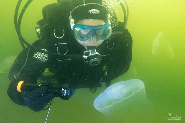 OrcaTorch ZD710 Dive Light hand held