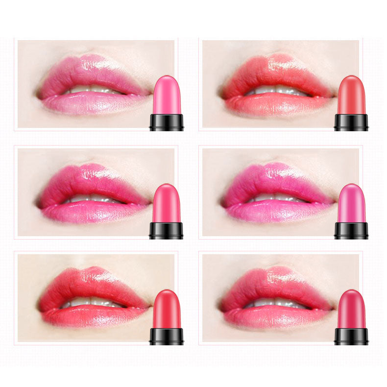 12 Colors Charm Lipstick Sample Mini Kit