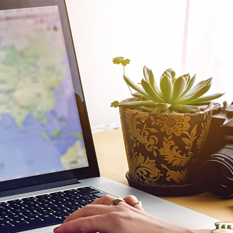 a-woman-is-watching-worldmap-with-her-laptop-and-succulent-by-the-side