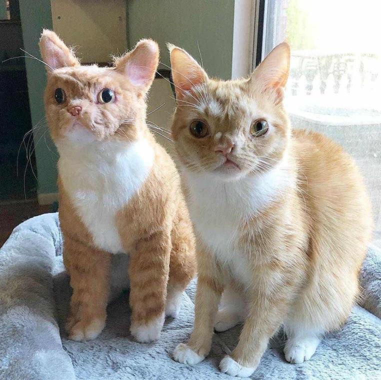 custom plush toys by Everlighten