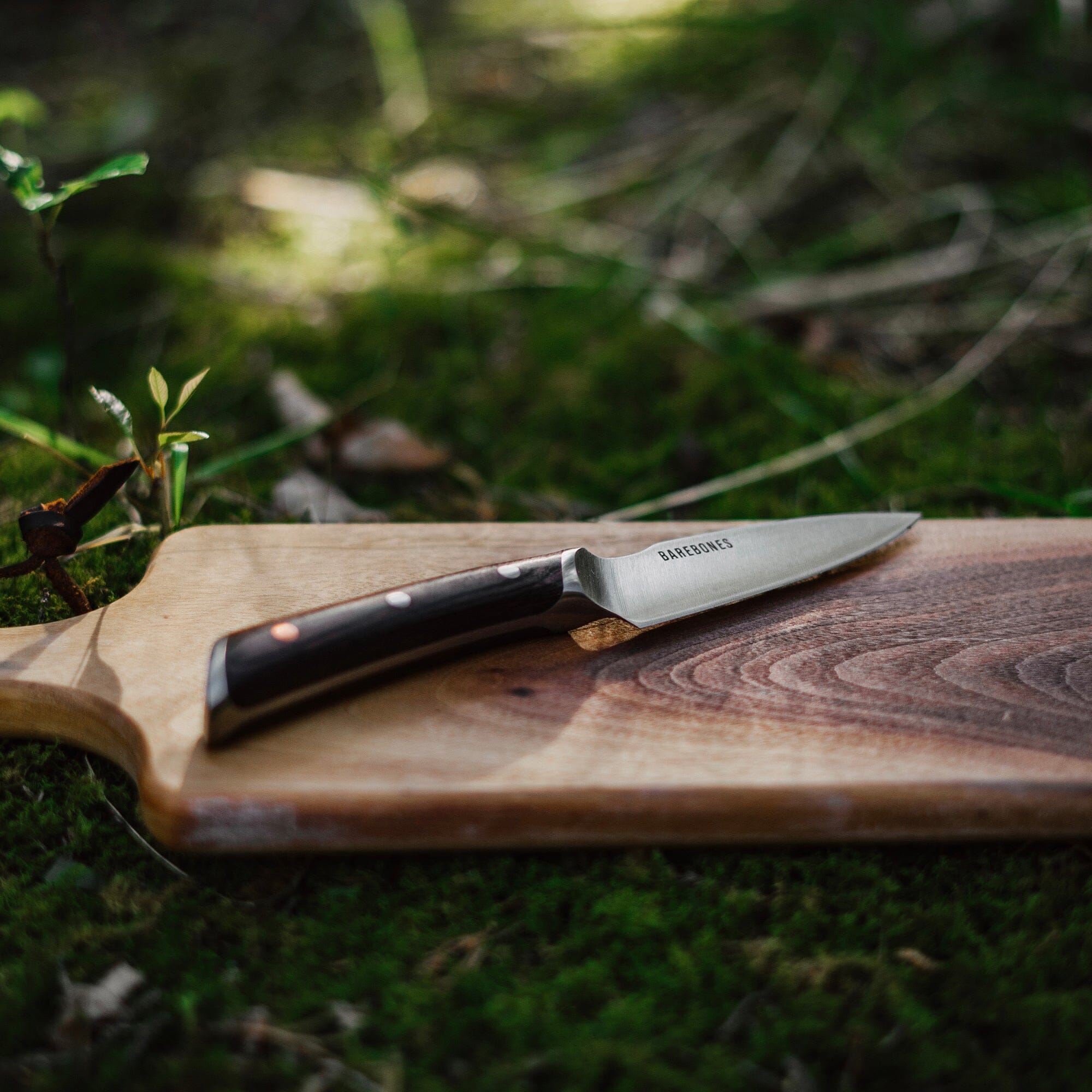 Culinary Knife 4-Piece Set