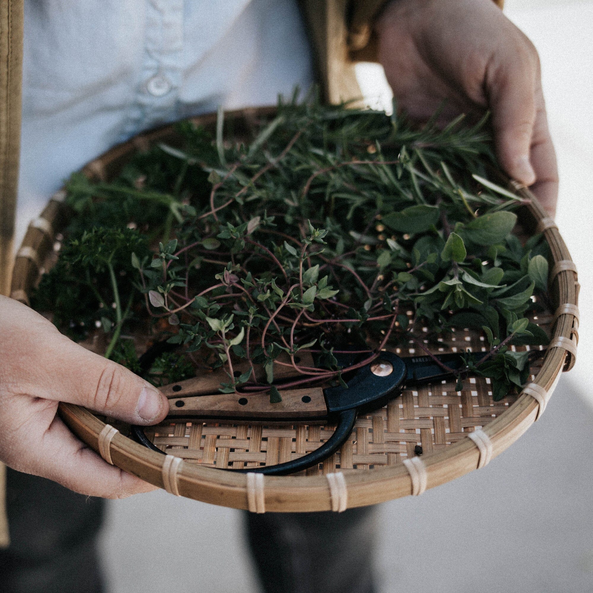 Garden Scissors