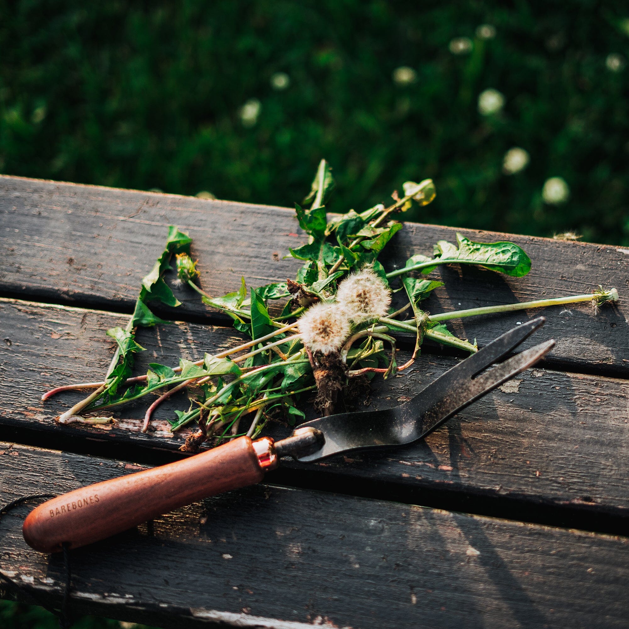 Dandelion Weeding Fork