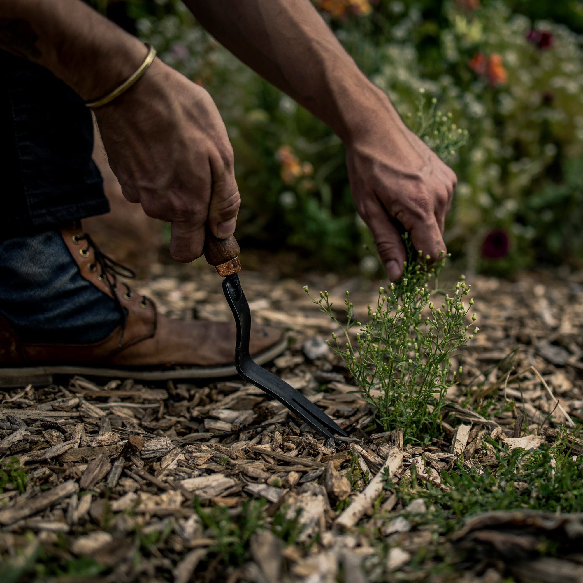 Dandelion Weeding Fork