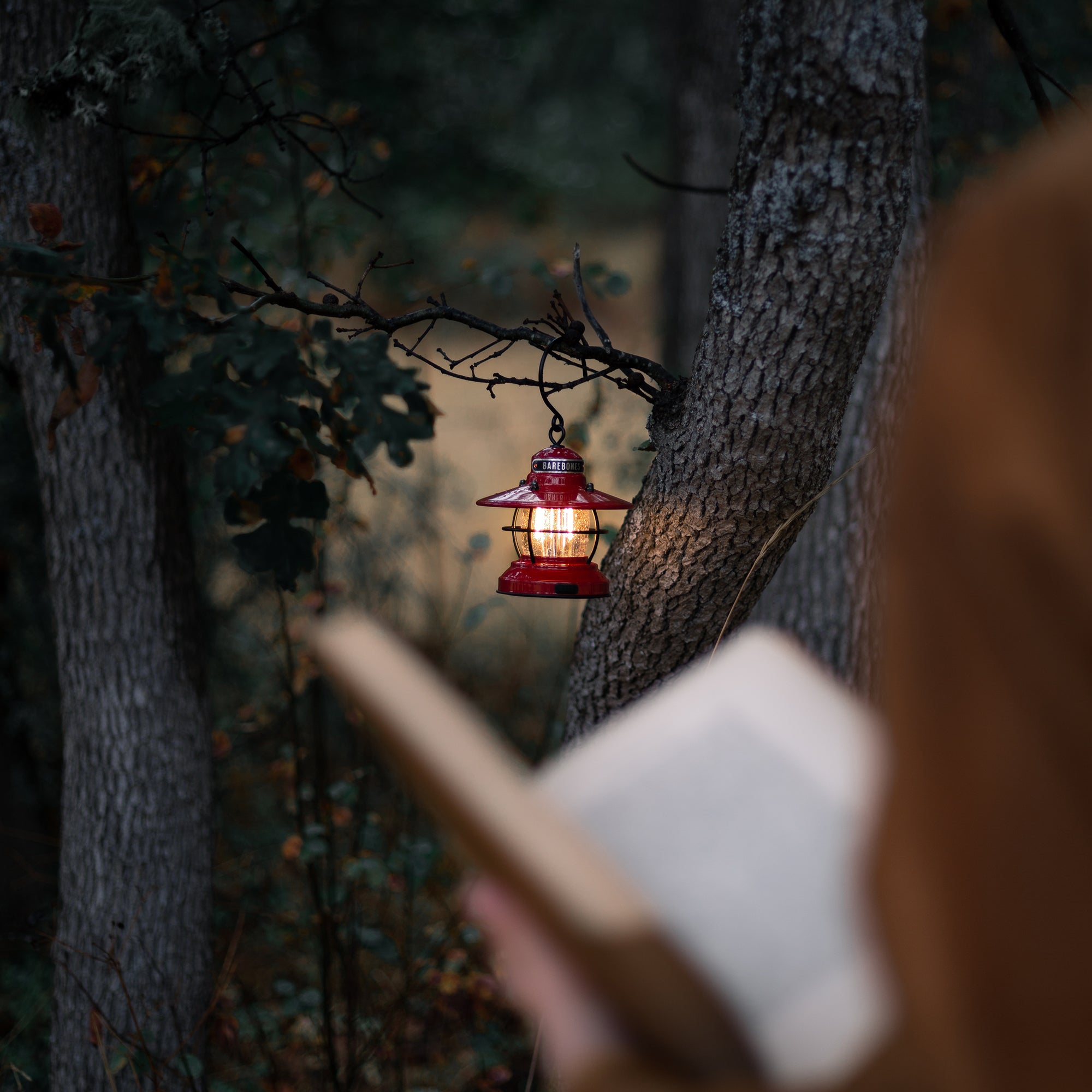 Edison Mini Lantern