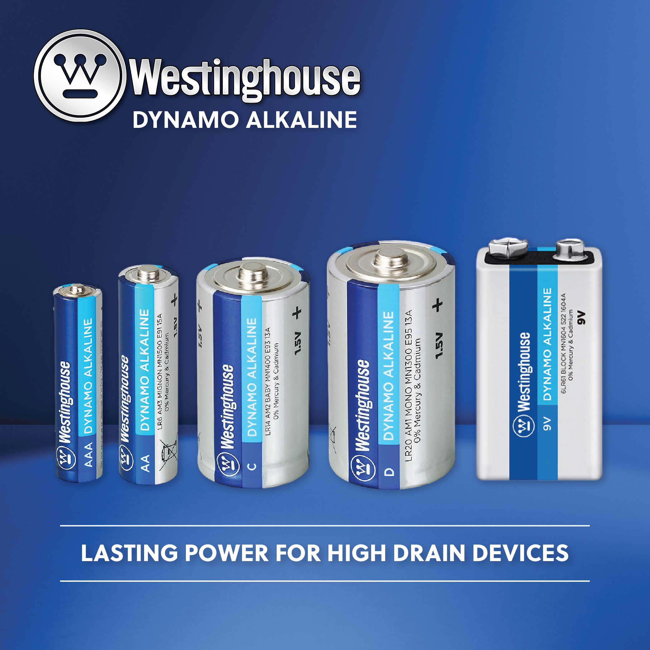 Westinghouse D Dynamo Alkaline Plastic Tub of 6