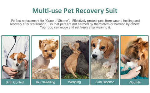multiple-use pet recovey suit