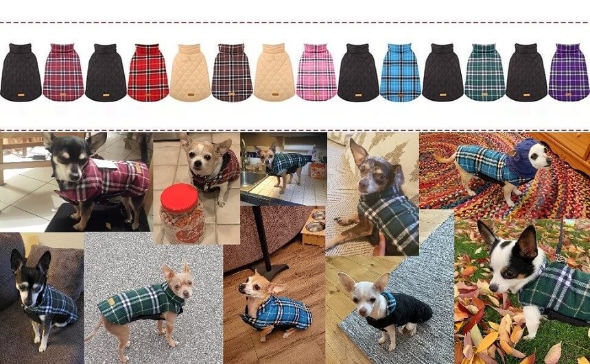 Kuoser Reversible Dog Jacket