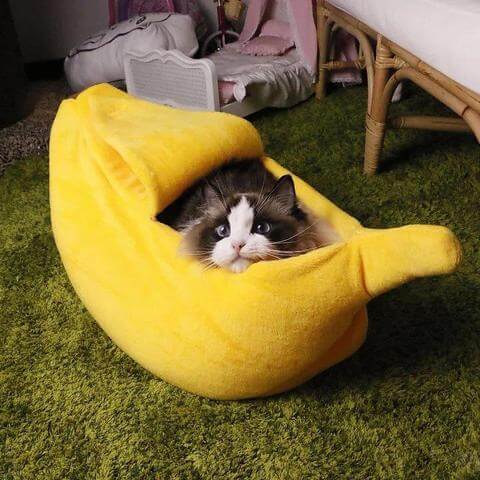banana cat bed cute kitten puppy cushion kennel