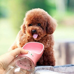 pet water bottle for dogs convenient for walking