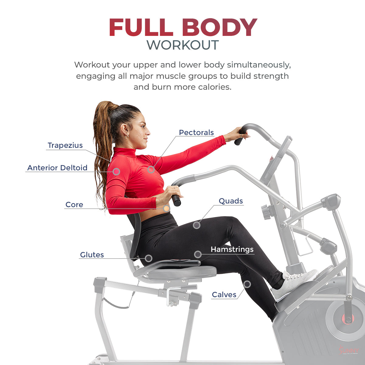 Elite Interactive Series Exercise Recumbent Cross Trainer and Elliptical