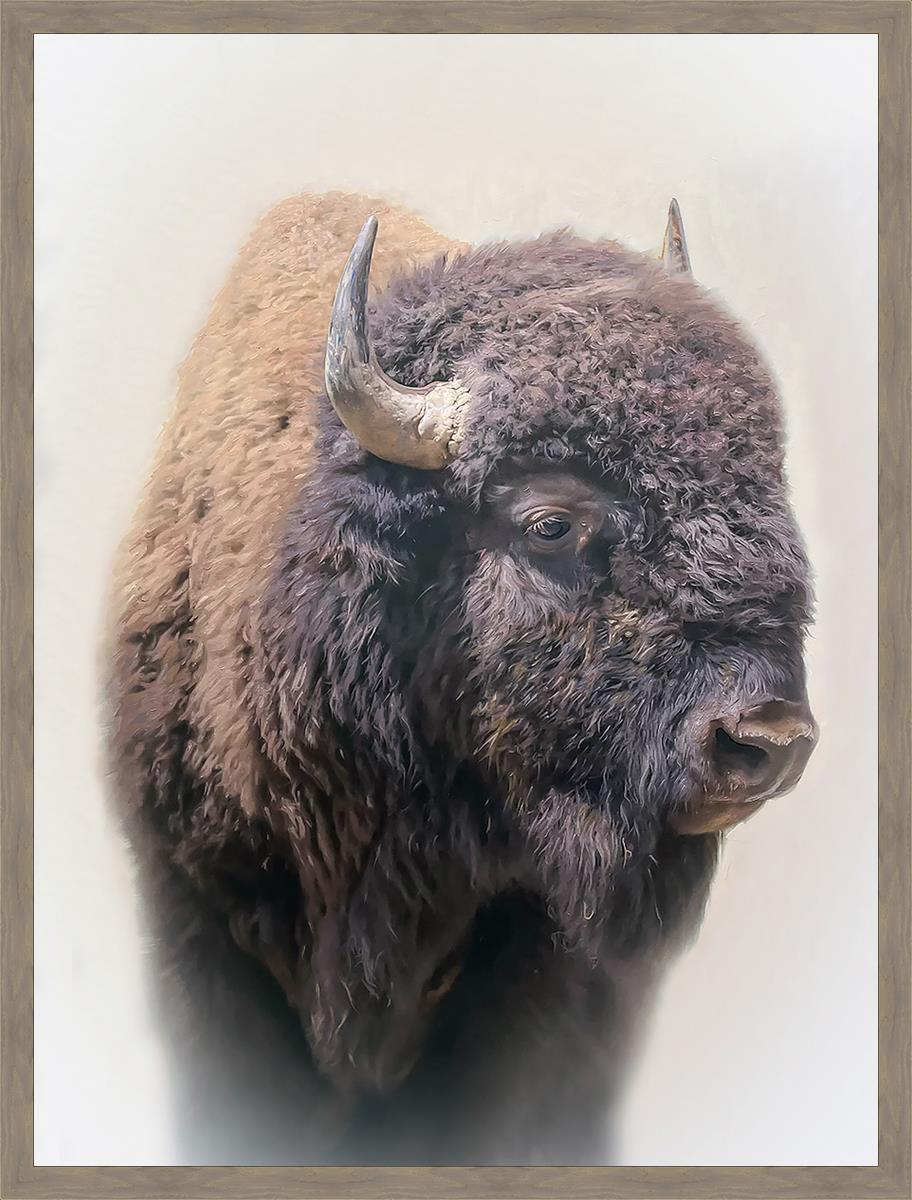 Bison Large Wall Art