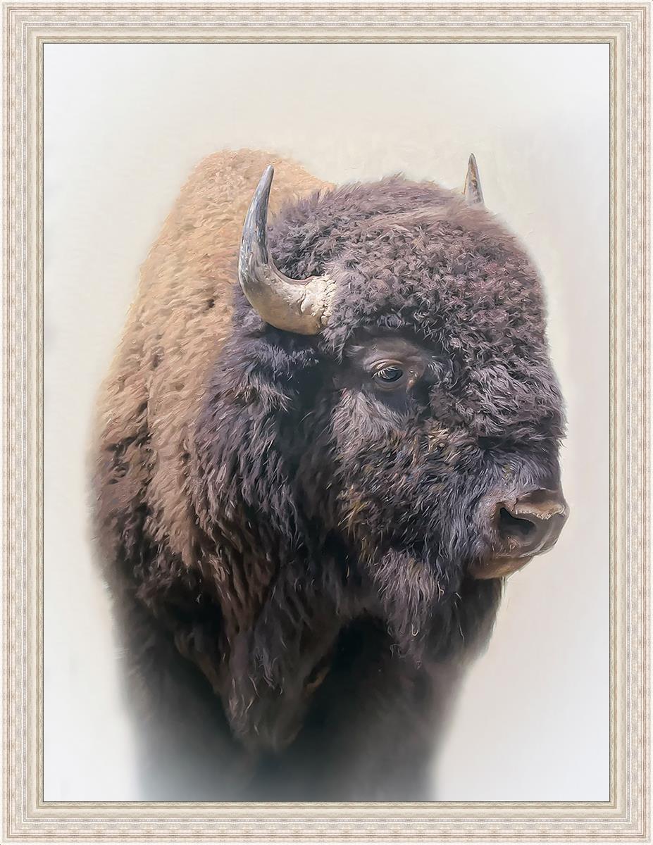 Bison Large Wall Art