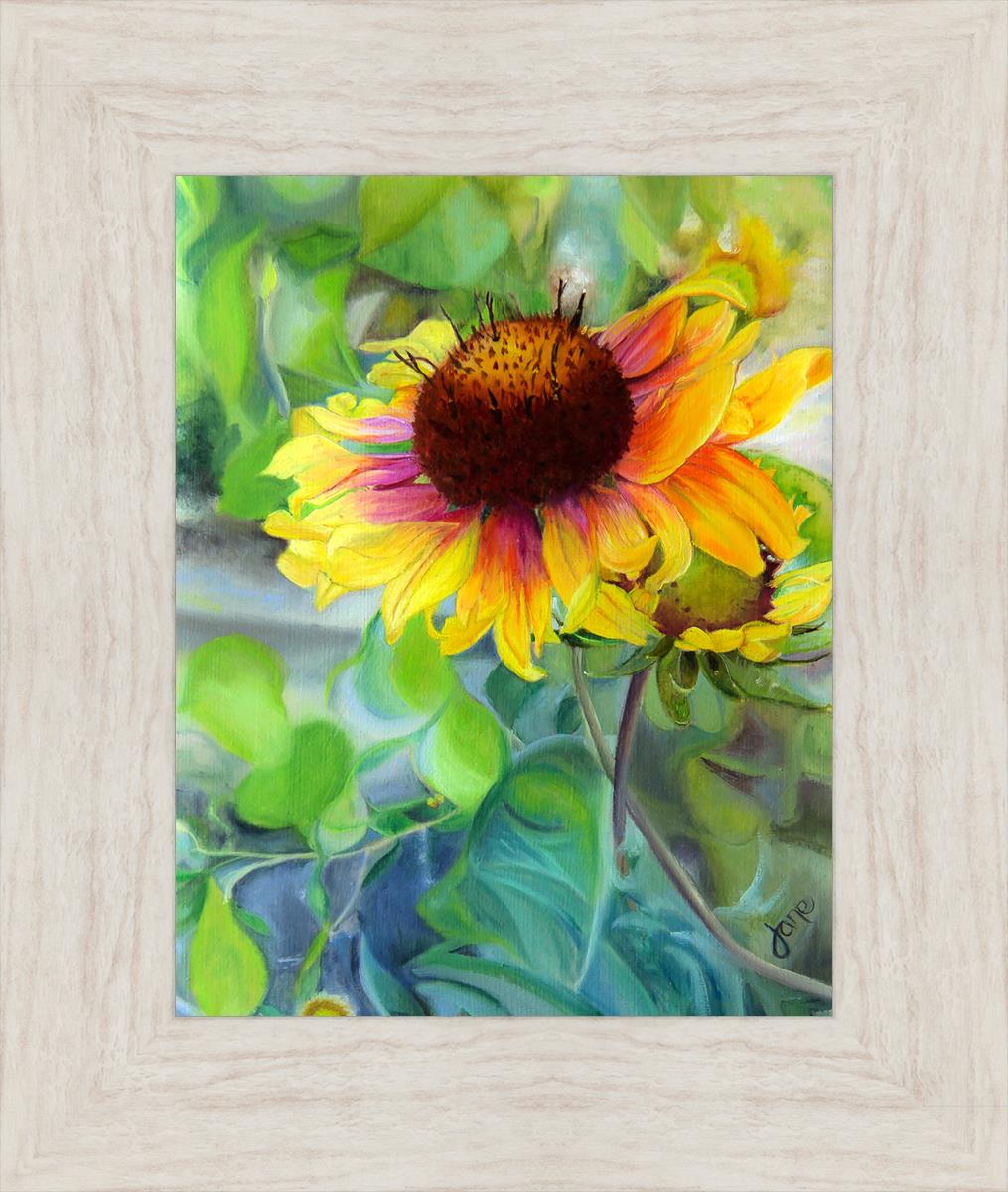 Indian Blanket Flower