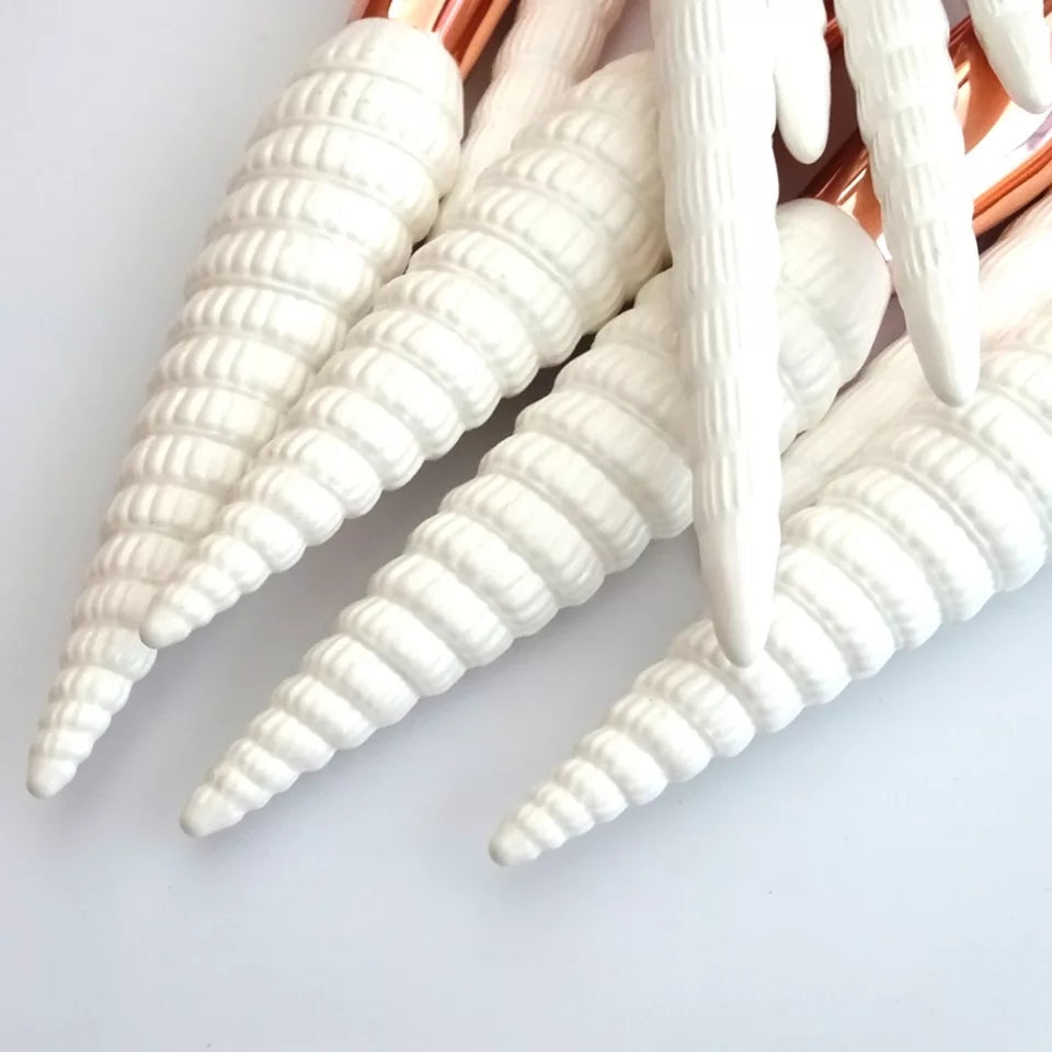 Conch Shell Brush Set