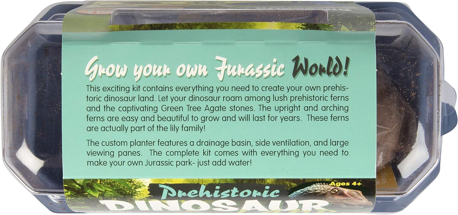 Grow Your Own Prehistoric Dinosaur Land - The Upright and Arching Ferns are Easy and Beautiful to Grow